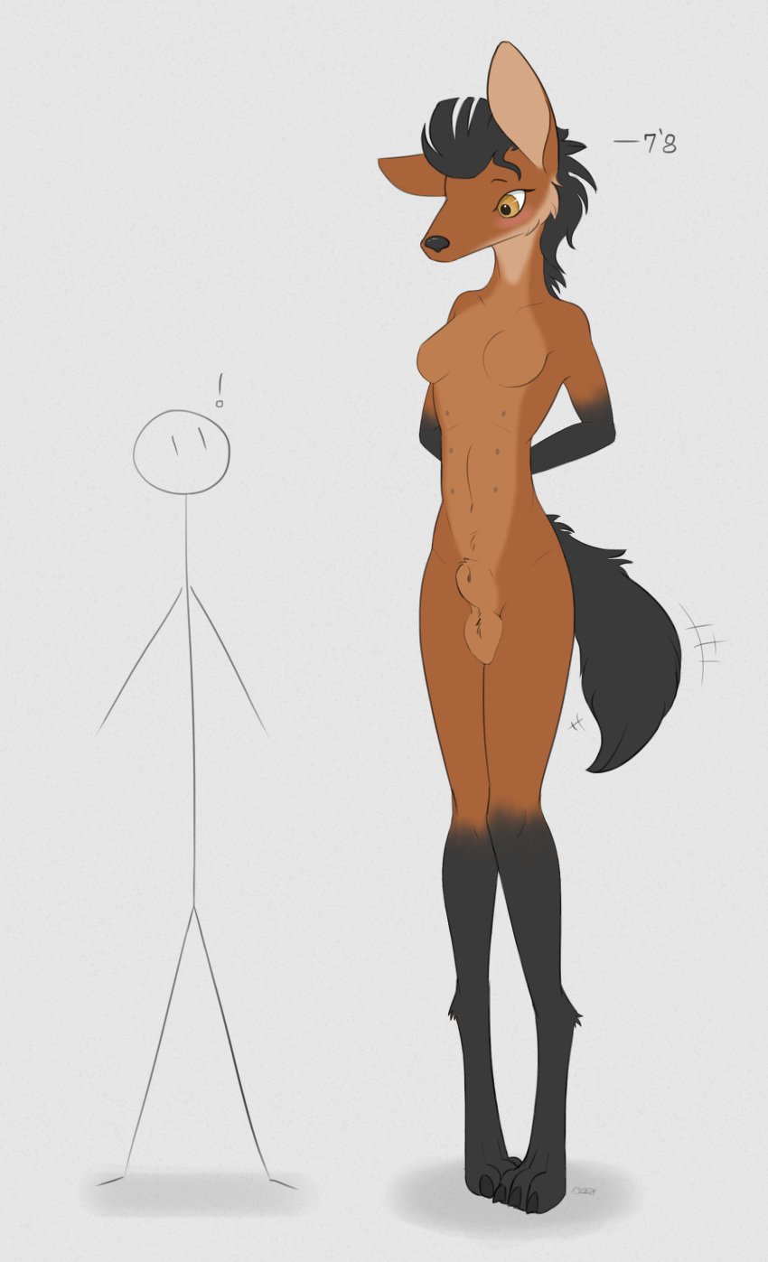 6_nipples absurd_res animal_genitalia anthro balls blush breasts canid canine creature71 flat_colors fully_sheathed genitals gynomorph hi_res intersex mammal maned_wolf multi_nipple nipples nude pinup pose sheath size_difference solo stick_figure tall zoli_(creature71)