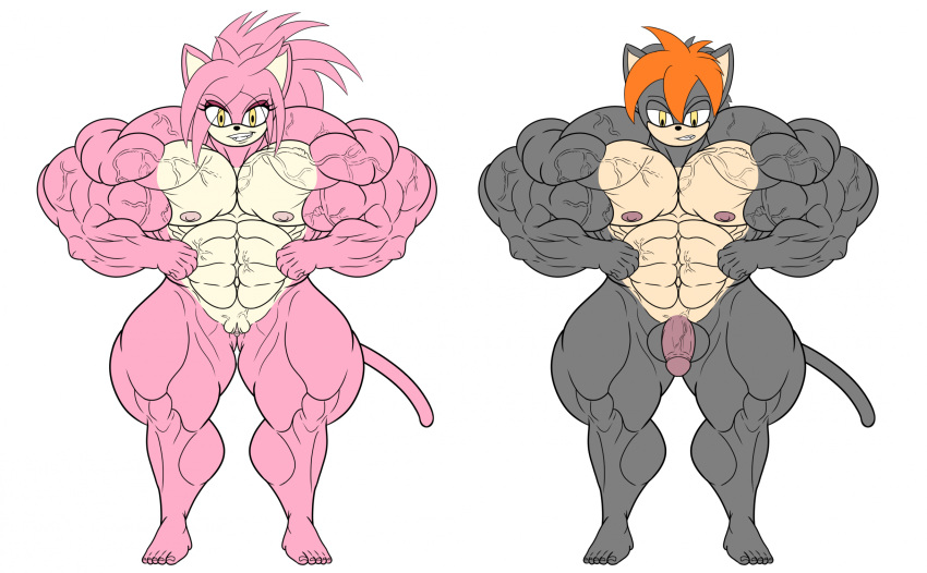 2023 abs anthro areola ava_(pyrohawk) balls big_muscles clenched_teeth domestic_cat duo fan_character feet felid feline felis female flexing genitals grey_body grin hair hi_res huge_muscles humanoid_feet hyper hyper_muscles male mammal muscular muscular_female muscular_male nipples nude nude_female nude_male orange_hair pecs_with_breasts penis pink_body pink_hair plantigrade pyrohawk sega simple_background smile sonic_(series) sonic_the_hedgehog_(series) tagme tail teeth thick_penis vein veiny_belly veiny_muscles veiny_pecs veiny_penis veiny_pussy white_background yellow_eyes zeke_(pyrohawk)