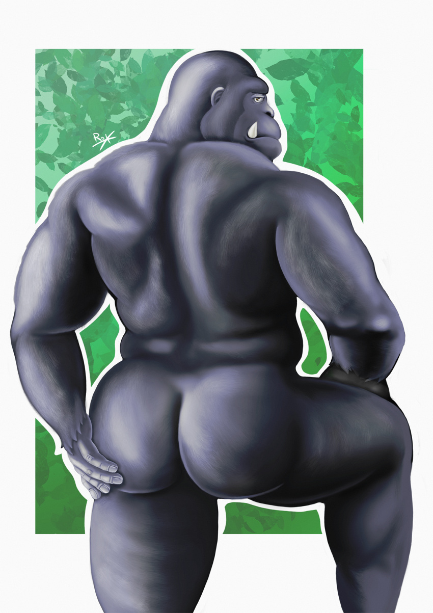 ass ass_focus back_muscles back_view bara big_ass big_ass_(male) big_muscles black_body black_fur bulky daddy gay gorilla hunk muscular muscular_anthro muscular_male solo solo_male