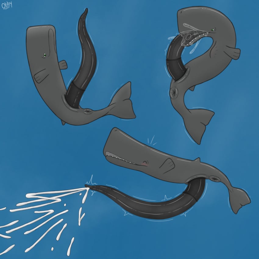 1:1 animal_genitalia anus aquatic autofellatio big_anus big_penis blush bodily_fluids cetacean cum cumshot ejaculation excessive_cum excessive_genital_fluids excessive_precum feral genital_fluids genitals grey_body hi_res huge_penis hyper hyper_genitalia hyper_penis male mammal masturbation neck_bulge obby oral oral_masturbation penile penile_masturbation penis precum precum_in_mouth precum_in_own_mouth solo sperm_whale toothed_whale underwater water whale