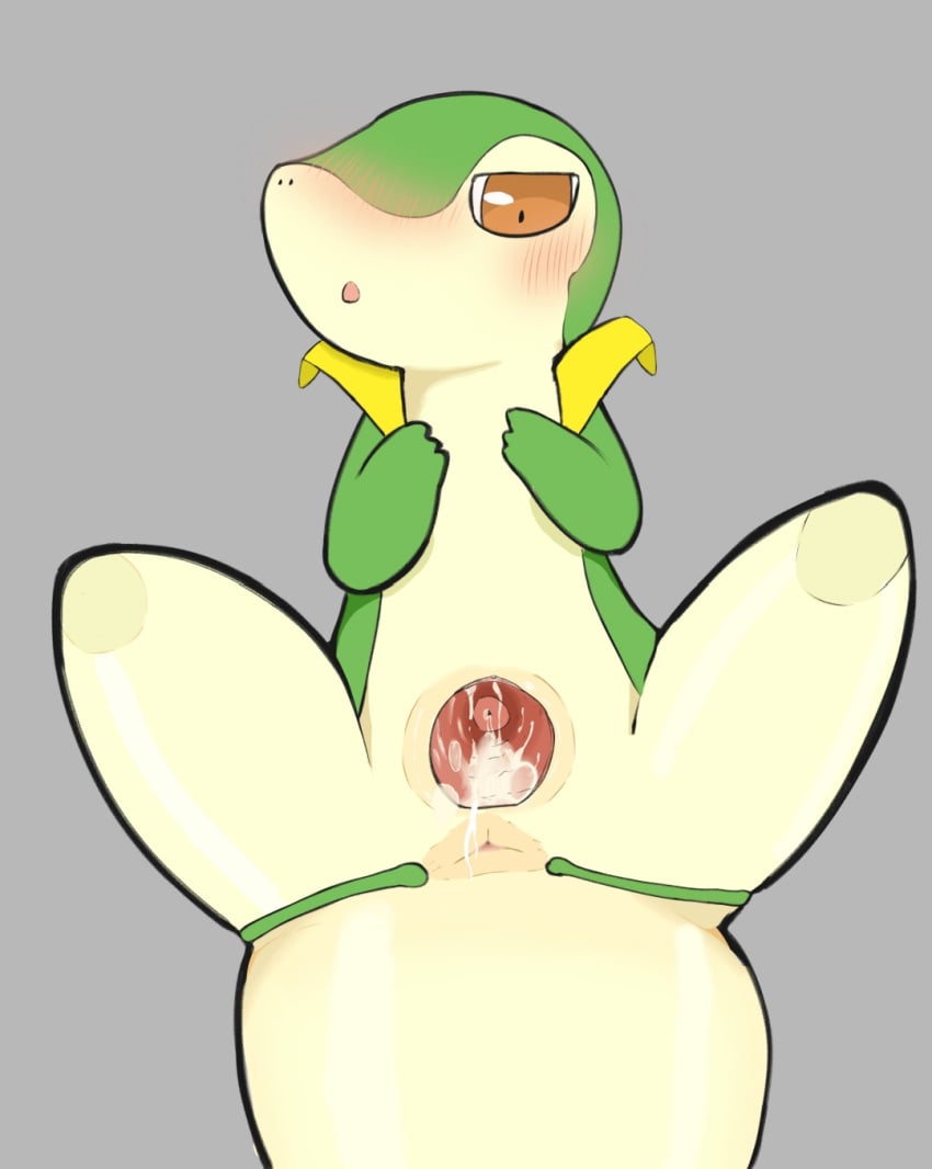 Generation 5 Pokemon (Nintendo) Rule 34 Image