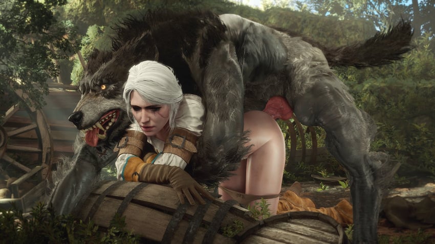 Ciri (Cd Projekt Red) Rule 34 Image