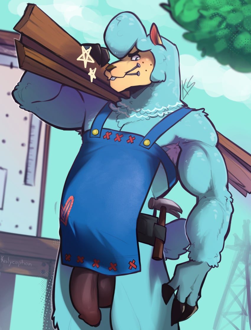 absurd_res alpaca animal_crossing anthro balls belly big_belly black_penis blue_body blue_fur blue_hair camelid carrying_another carrying_over_shoulder carrying_partner carrying_position clothing cyrus_(animal_crossing) flaccid fur genitals hair hi_res holding_object hooves humanoid_genitalia humanoid_penis kisly kislyception looking_at_viewer looking_down male mammal manly musclegut muscular muscular_anthro muscular_male nintendo penis pink_nose simple_background smile smirk solo standing tail thick_arms thick_penis thick_thighs wood working