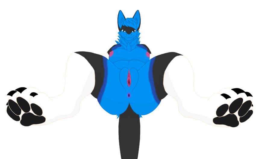 absurd_res adfdaf_i anthro anus big_breasts big_nipples blue_body blue_eyes breast_squish breasts claws exposed_breasts feet female front_view genitals grey_body hi_res machine mama_noctis mamagen mature_female nipples pawpads paws pink_nipples protogen pussy solo spread_legs spreading squish tiktok white_body