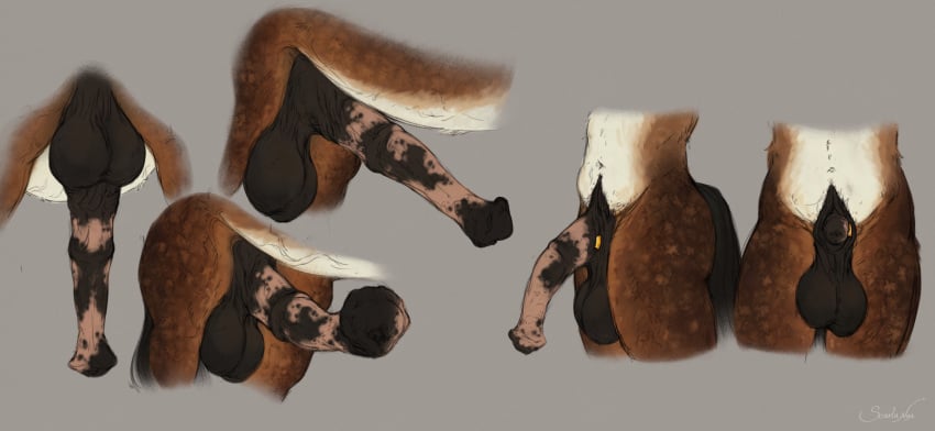 absurd_res animal_genitalia animal_penis anthro balls big_balls big_penis equid equine equine_genitalia equine_penis feral flared_penis genitals hi_res male mammal mottled mottled_genitalia mottled_penis navel penis saggy_balls scarlanya solo tail
