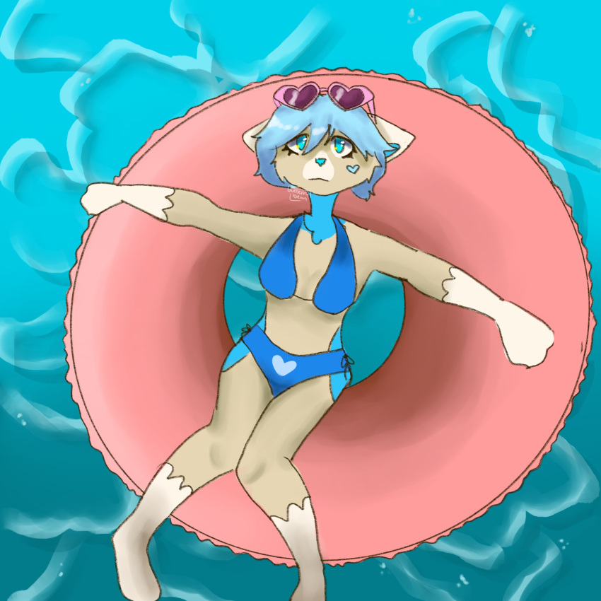 bikini blue_fur blueberry_bean blueberry_bean_(artist) floaty_tube furry heart_symbol looking_at_viewer looking_bored pool