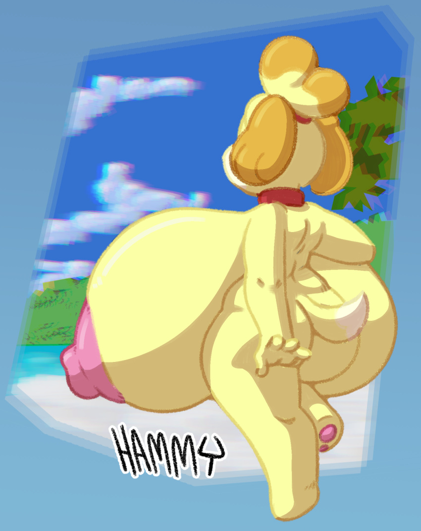 animal_crossing anthro beach big_breasts breasts canid canine canis casual_nudity collar domestic_dog female hammy hi_res huge_breasts hyper hyper_breasts isabelle_(animal_crossing) mammal nintendo nude public public_nudity rear_view solo