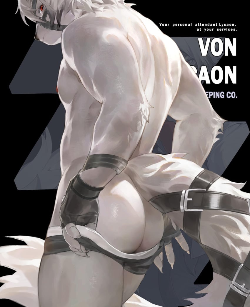 1boy anthro back_muscles back_view big_ass fluffy_tail gloves looking_at_viewer looking_back looking_back_at_viewer male_only putting_on_boxers putting_on_underwear thighs toned_body toned_male von_lycaon yuuko891 zenless_zone_zero