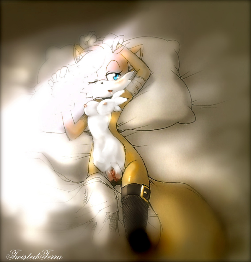 breasts color ellie_prower exposed_breasts female female_only fox front_view fur furry furry_breasts miles_prower pussy rule_63 solo sonic_(series) tails tailsko twistedterra vulva