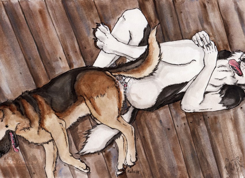 2015 anal anal_sex anthro anthro_on_feral anthro_penetrated artist_logo ass balls barely_visible_genitalia barely_visible_penis black_body black_fur black_nose bodily_fluids brown_body brown_fur canid canine cum cum_on_butt cum_string dated domestic_dog duo feral feral_penetrating feral_penetrating_anthro floor fur genital_fluids genitals kola_(artist) logo lying male male/male male_penetrated male_penetrating male_penetrating_male mammal nude on_back open_mouth penetration penile penile_penetration penis penis_in_ass realistic_feral sex side_view signature tan_body tan_fur tongue tongue_out white_balls white_body white_fur wood wood_floor zoophilia