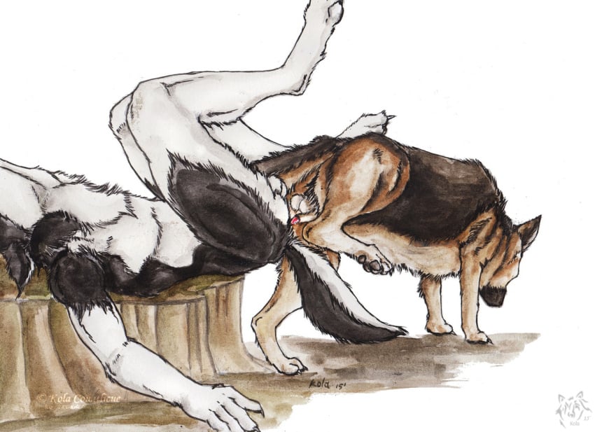 anal anal_sex anthro anthro_on_feral anthro_penetrated balls black_body black_fur brown_body brown_fur canid canine domestic_dog duo feral feral_penetrating feral_penetrating_anthro fur genitals knotting kola_(artist) lying male male/male male_penetrated male_penetrating male_penetrating_male mammal nude on_back penetration penile penile_penetration penis_in_ass sex side_view simple_background tan_balls tan_body tan_fur traditional_media_(artwork) white_background white_balls white_body white_fur zoophilia