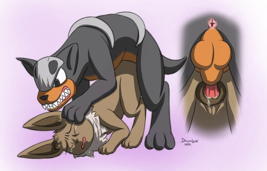 1boy 1girls 2019 anatomically_correct animal_genitalia animal_penis animal_pussy anus balls bodily_fluids brown_body brown_fur canine_penis canine_pussy cum cum_in_pussy cum_inside dawnlux duo eevee eeveelution female female_penetrated feral forced fur furry furry_only genital_fluids houndour knot knotting male male_penetrating mammal multicolored_body multicolored_fur nintendo open_mouth penetration penis pokémon_(species) pokemon pokemon_(species) pokemon_gsc pokemon_rgby pussy rape sex simple_background straight tears testicles two_tone_body two_tone_fur vaginal_penetration video_games