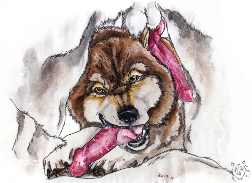 2015 artist_logo balls black_nose brown_body brown_fur brown_pawpads canid canine dated fangs feral fur genitals glistening glistening_eyes group knot kola_(artist) logo male mammal markings open_mouth pawpads penis penis_in_mouth pink_tongue red_penis teeth tongue tongue_out trio white_balls white_body white_fur yellow_eyes yellow_markings