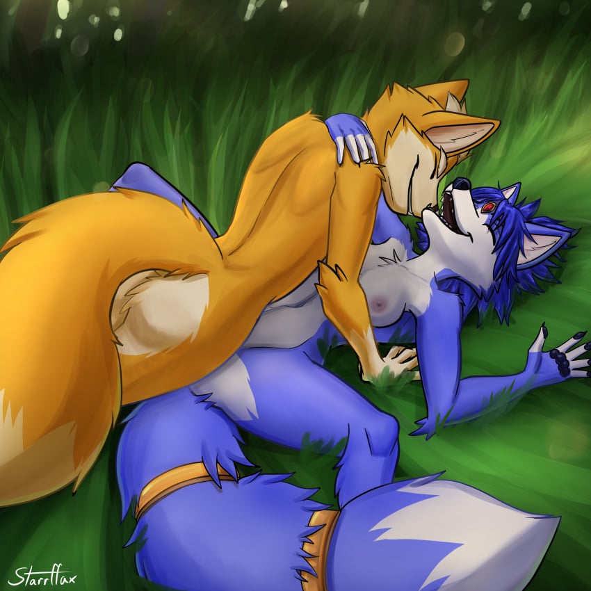 1:1 5_fingers absurd_res anthro anthro_on_anthro anthro_penetrated anthro_penetrating anthro_penetrating_anthro ass black_nose blue_body blue_fur blue_hair breasts canid canine claws duo female female_penetrated finger_claws fingers forest fox fox_mccloud from_front_position fur hair hi_res humanoid_hands krystal_(star_fox) lying male male/female male_penetrating male_penetrating_female mammal missionary_position multicolored_body multicolored_fur nature navel nintendo nipples nude nude_anthro nude_female nude_male on_back orange_body orange_fur outdoor_nudity outside outside_sex penetration penile penile_penetration penis_in_pussy plant sex signature smile spread_legs spreading star_fox starrffax tail tree two_tone_body two_tone_fur vaginal_penetration vaginal_penetration white_body white_fur white_hair