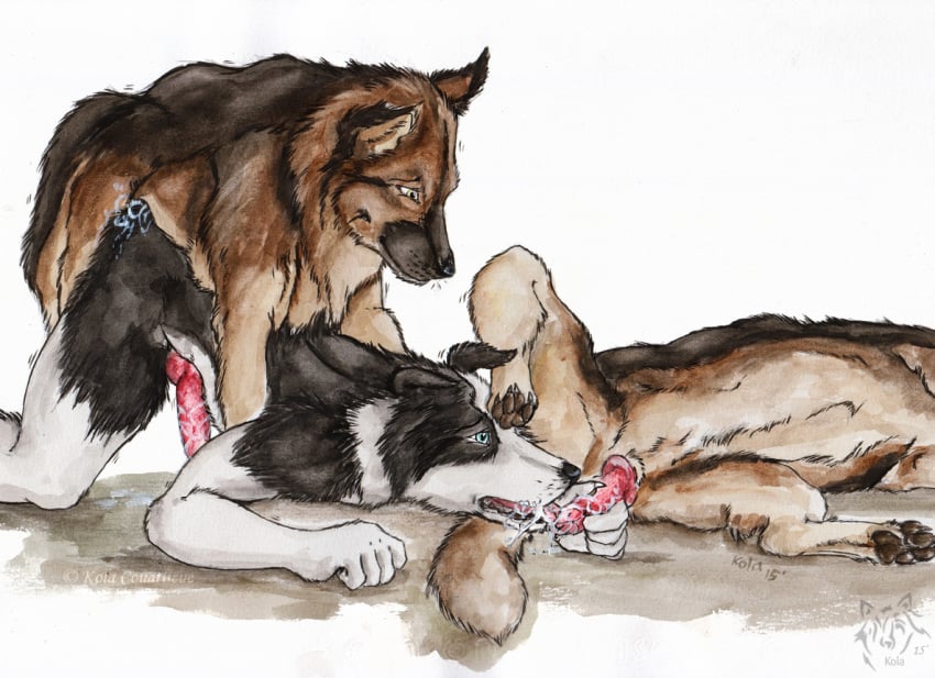 2015 animal_genitalia animal_penis anthro anthro_on_feral anthro_penetrated artist_logo ass ass_up black_penis blue_eyes bodily_fluids brown_body brown_fur canid canine canine_genitalia canine_penis cum cum_on_butt dated doggy_style domestic_dog erection feral feral_penetrating feral_penetrating_anthro from_behind_position fur genital_fluids genitals group group_sex knot kola_(artist) licking logo lying male male/male male_penetrated male_penetrating male_penetrating_male mammal mouth_closed on_front on_side oral penetration penile penis penis_lick realistic_feral red_penis sex simple_background tan_body tan_fur threesome tongue trio white_background white_body white_fur yellow_eyes zoophilia