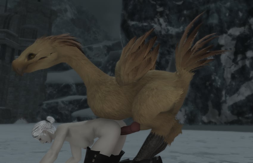 animal animal_genitalia athletic_female avian bird boots breeding canine_penis chicken chocobo dubious_consent female feral_on_female feral_penetrating feral_penetrating_human final_fantasy_xiv forced hard_sex knot knotted_penis male male/female muscular_female pale-skinned_female pale_skin partially_clothed rape roegadyn size_difference snow white_hair winter yellow_fur zoophilia zoophilia