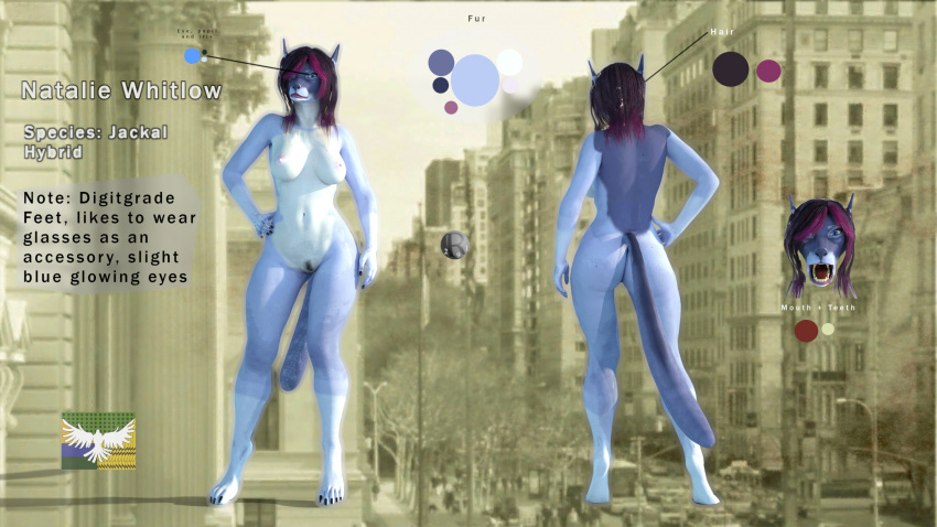 3d anthro canid canine canis color_fur daz_studio_(artwork) digital_media_(artwork) digitigrade domestic_dog english_text female fur fur_markings genitals hi_res humanoid hybrid jackal mammal markings model_sheet natalie_whitlow nude nude_anthro open_mouth perturbedmania solo solo_focus text