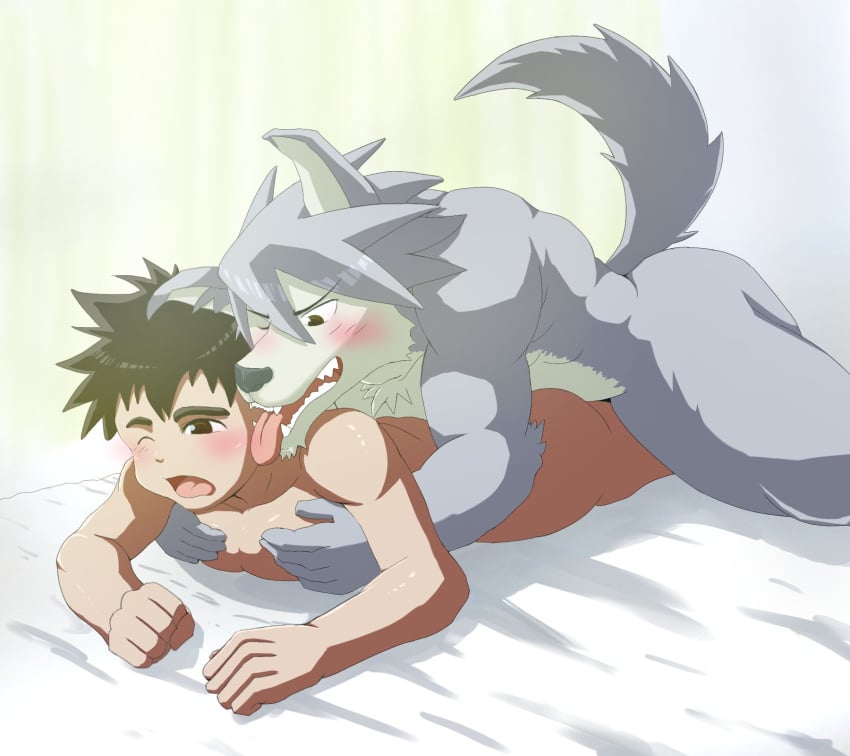 abs anal anal_sex anthro anthro_penetrating anthro_penetrating_human ass big_dom_small_sub big_muscles big_pecs blush bodily_fluids canid canine canis doggy_style domestic_dog dominant duo fangs from_behind_position fur grey_body grey_fur hi_res hiroyuki_(morenatsu) holding_partner human human_on_anthro human_penetrated husky interspecies jujinnninaritai kouya_(morenatsu) larger_anthro larger_male male male/male male_penetrated male_penetrating male_penetrating_male mammal morenatsu multicolored_body multicolored_fur muscular muscular_anthro muscular_human muscular_male nordic_sled_dog nude open_mouth pecs penetration penile penile_penetration penis_in_ass sex size_difference smaller_human smaller_male smaller_penetrated spitz sweat teeth white_body white_fur