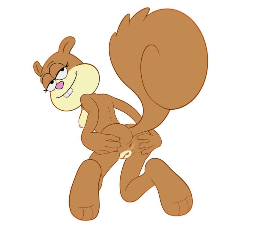 anus ass breasts female genitals hi_res kyoshinhei looking_at_viewer mammal nickelodeon ninolo nipples nude pussy rodent sandy_cheeks sciurid simple_background smile solo spongebob_squarepants spread_butt spreading tomboy tree_squirrel white_background