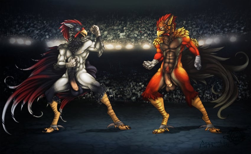 arena avian balls beak crowd erection feathers fight gay male nude orange_red_body penis male_chicken stadium white_black_body