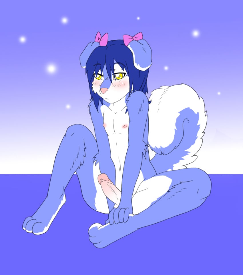 3_toes 5_fingers anthro barefoot blue_fur blue_hair blush bow canine cute dog erection femboy front_view fur furry furry_ears furry_tail futanari hair husky ian intersex liontaro male male_only mutt nipples nude open_eyes penis sitting solo tail white_fur yellow_eyes