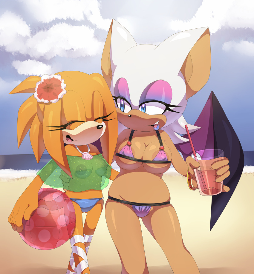 2girls beach bikini breasts clothed clothing female female_only fur furry nipples rouge_the_bat sonic_(series) squish_(artist) tikal_the_echidna