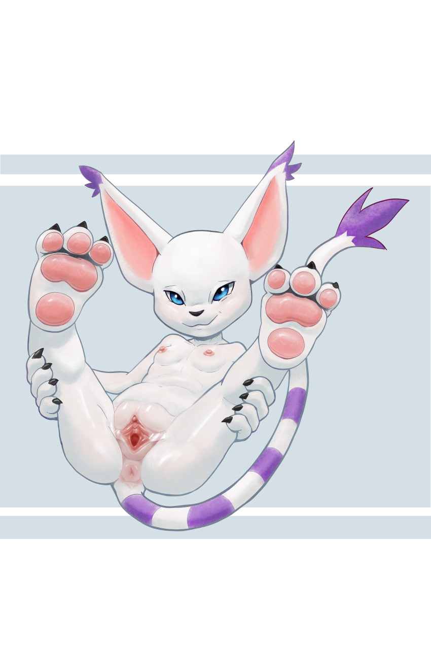 absurd_res anus bandai_namco breasts clitoris digimon digimon_(species) female gatomon genitals hi_res hindpaw nipples nude paws pussy smile solo spread_pussy spreading zyrusfluf