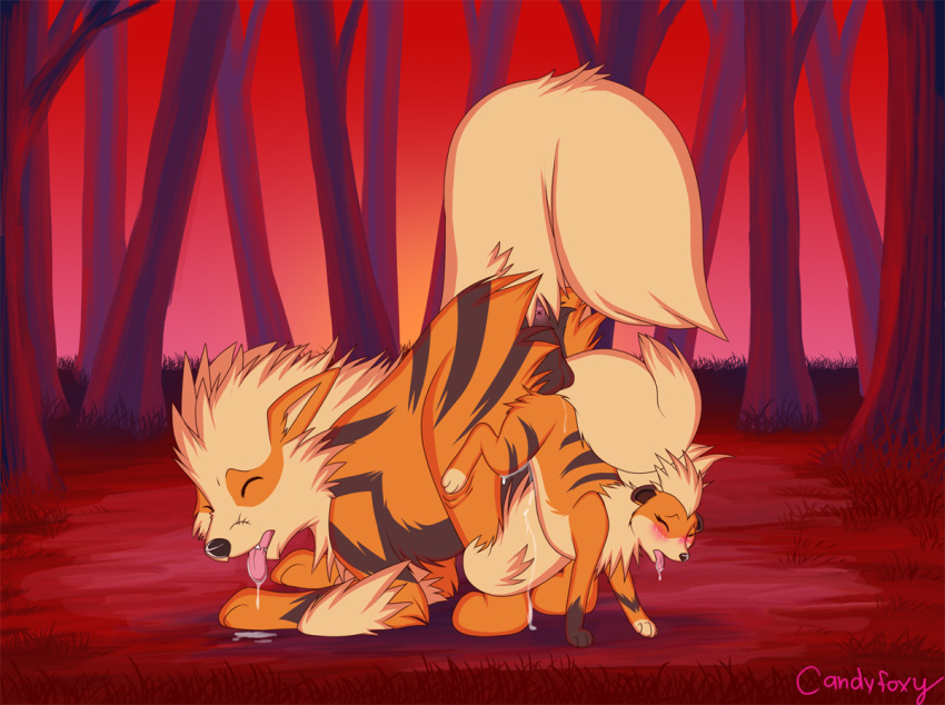 2012 ambiguous_gender anus arcanine balls blush candyfoxy canine closed_eyes feral knotting male nintendo pokemon pokemon_(species) raised_tail sex size_difference