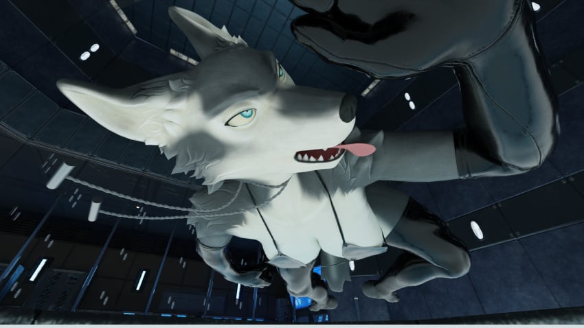 1girls 3d 3d_(artwork) 3d_model anthro blender blender_(artwork) blender_(software) corpse dead death female female_death garrote latex latex_gloves latex_legwear latex_thighhighs licensedquack petruz_(copyright) snuff solo strangled tounge_out wolf