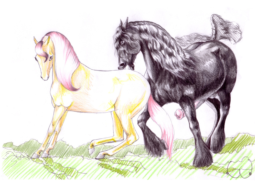 1boy 1girls 2012 balls black_fur boobcat equine erection female feral feral_on_feral friesian hair horse horsecock male penis pink_hair plain_background straight yellow_fur