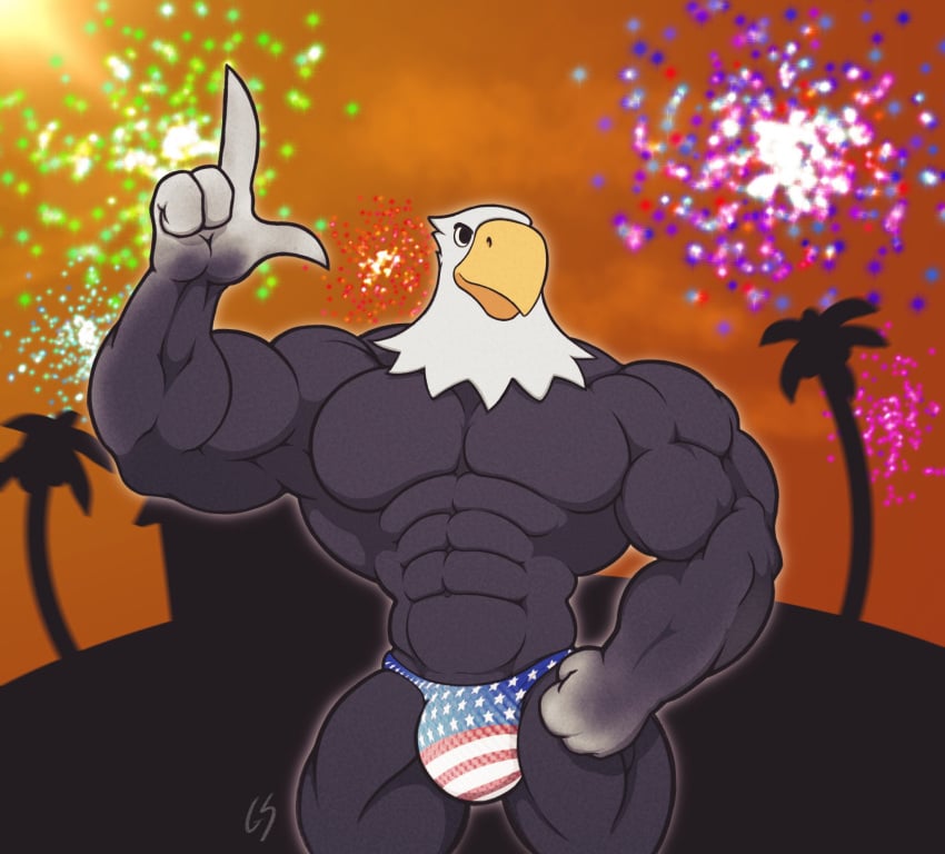 1boy american_flag_underwear animal_crossing anthro apollo_(animal_crossing) avian bald bald_eagle bird bulge clothing eagle fireworks glaciersnow gs hi_res male male_only muscular muscular_male nintendo solo swimwear underwear