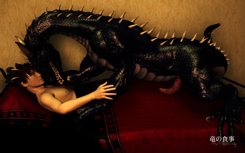 3d bed dragon dragonfood erection gay human interspecies licking male penis tongue