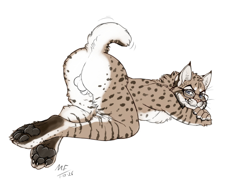 Animal Genitalia Rule 34 Image
