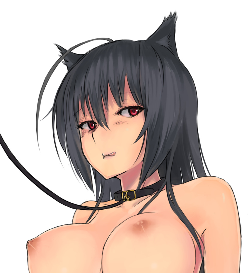 :q ahoge animal_ears black_hair blush breasts chuunibyou_demo_koi_ga_shitai! collar female female_only highres kemonomimi large_breasts larloses leash lips long_hair nipples nude pointy_chin red_eyes simple_background solo takanashi_touka tongue white_background