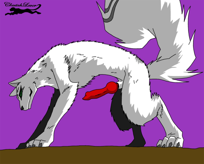 canine cum green_eyes kekkaishi knot madarao male penis white_fur yaoi