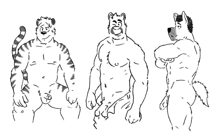 anthro bear canine feline fur furry gay husky92 male mammal muscle penis tiger uncut vasuki