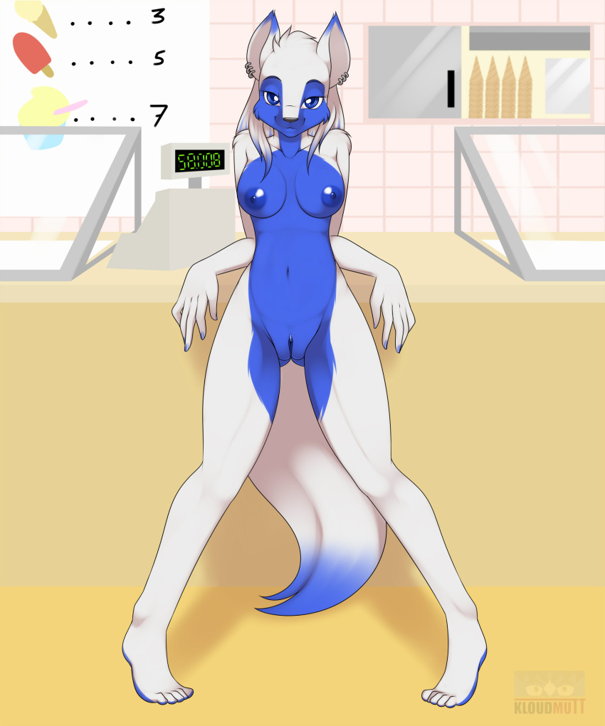 2012 anthro bedroom_eyes blue_eyes blue_fur breasts canine cone female fur furry husky ice_cream ice_cream_cone kloudmutt looking_at_viewer navel nude piercing pussy register solo standing white_fur