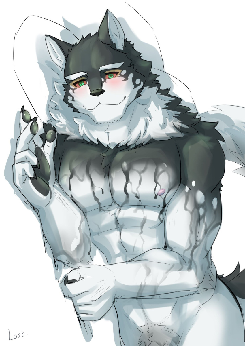 abs anthro blush canid canine canis domestic_dog flaccid genitals green_eyes hi_res husky lifewonders live_a_hero looking_at_viewer male mammal monomasa muscular muscular_anthro muscular_male nipples nordic_sled_dog nude pecs penis penis_base red_sclera solo spitz wnhfduvnn7eo6be