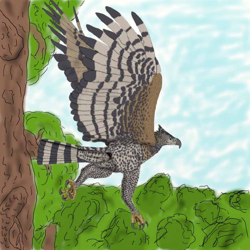 african_crowned_eagle ambiguous_gender avian beak bird claws cloaca eagle feet feral flying looking_at_viewer male nude outdoors pinup sky tree uppmap123 vent