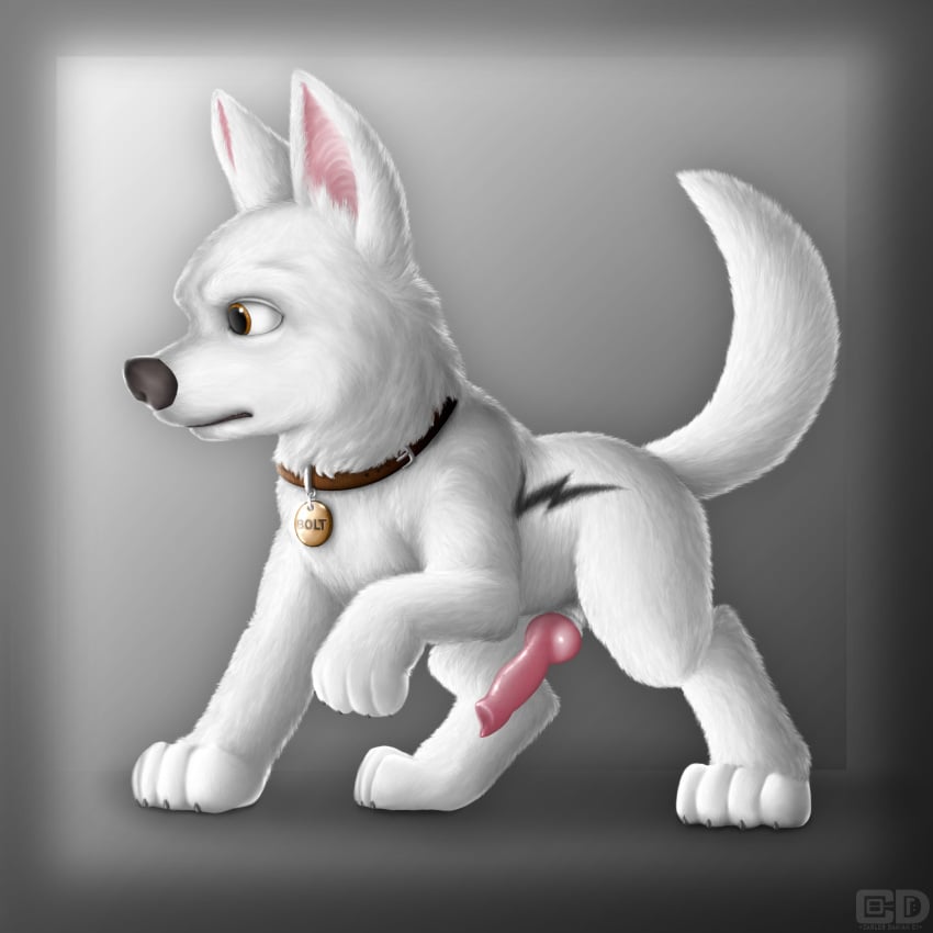 1:1 4_toes barefoot black_nose bolt_(character) bolt_(film) brown_eyes canine claws closed_mouth collar color disney dog erection feral fur furry_ears furry_tail male male_only mammal nude open_eyes penis pointy_ears raised_tail realistic side_view solo tagme tail white_fur