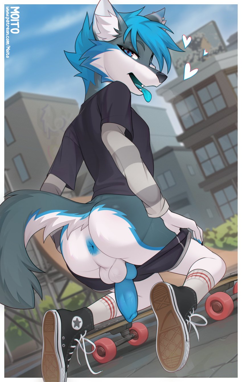 absurd_res anthro anus artist ass balls blue_anus blue_insides blue_mouth blue_pawpads blue_penis blue_tongue canid canine canis city clothing cnot footwear genitals hi_res male mammal moito pawpads penis public public_exposure shoes skate_park skateboard solo street tail tongue unusual_insides vehicle wolf