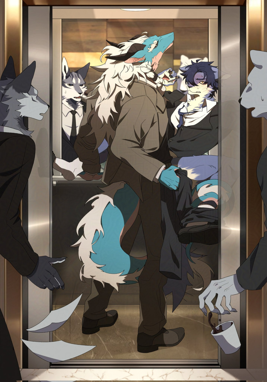 anthro bb_5858 bottomwear canid canine caught_in_the_act clothing digital_drawing_(artwork) digital_media_(artwork) dragon elevator erection erection_under_clothing footwear fur furgonomics hair hi_res horn male male_only mammal mirror mythological_creature mythological_scalie mythology necktie pants scalie shoes standing suit