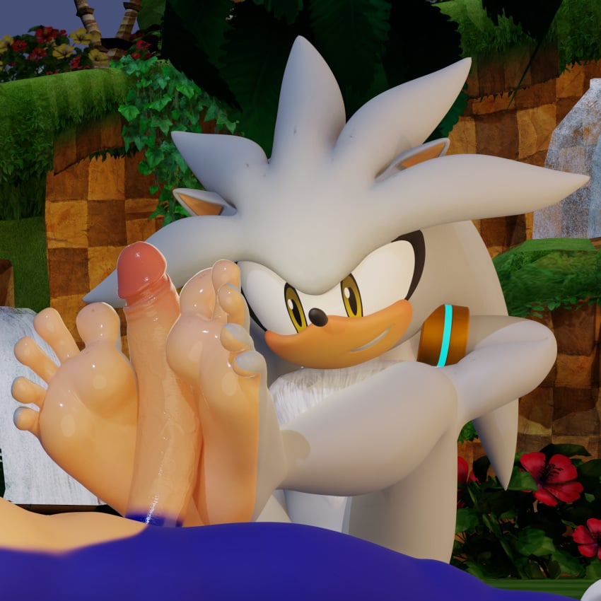 2024 3d_(artwork) anthro anthro_on_anthro barefoot big_penis blue_body digital_media_(artwork) duo erection eulipotyphlan feet foot_fetish foot_play footjob fuckboy fur gay genitals green_hill_zone grey_body hedgehog hi_res male male/male mammal multicolored_body outside penis sega sex silver_the_hedgehog smile soles sonic_(series) sonic_the_hedgehog sonic_the_hedgehog_(series) tan_body twintails3d two_tone_body white_body white_fur yellow_eyes