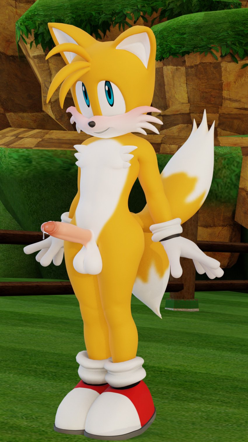 3d_(artwork) anthro balls blush bodily_fluids canid canine clothing digital_media_(artwork) footwear footwear_only fox fur genital_fluids genitals hi_res looking_at_viewer male male_only mammal mostly_nude nude penis precum sega shoes shoes_only shy solo sonic_(series) sonic_the_hedgehog_(series) standing tails tails_the_fox twintails3d white_body white_fur yellow_body yellow_fur