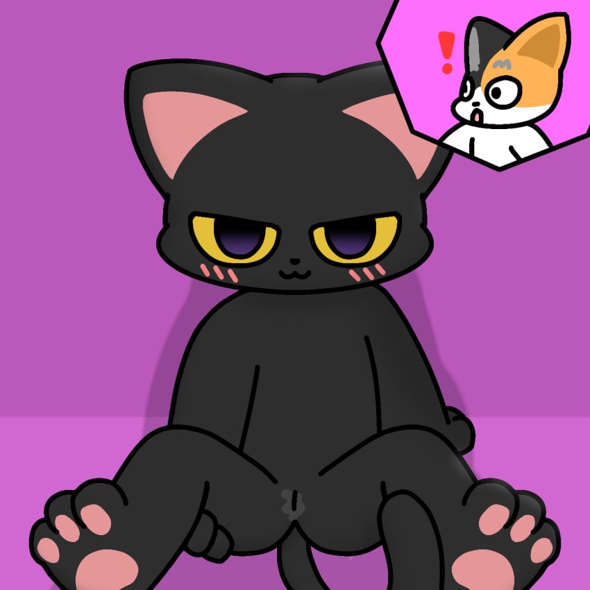 1:1 ambiguous_gender anthro black_body black_fur black_nose blush bodily_fluids curry_(ho_salt) digital_media_(artwork) domestic_cat duo exclamation_point felid feline felis female fur genital_fluids genitals hi_res ho_salt ho_salt_(copyright) leg_grab looking_at_viewer male_(lore) mammal open_mouth orange_body orange_fur paws pncholmeca100 pussy seductive sig_(ho_salt) simple_background tail vaginal_fluids white_body white_fur