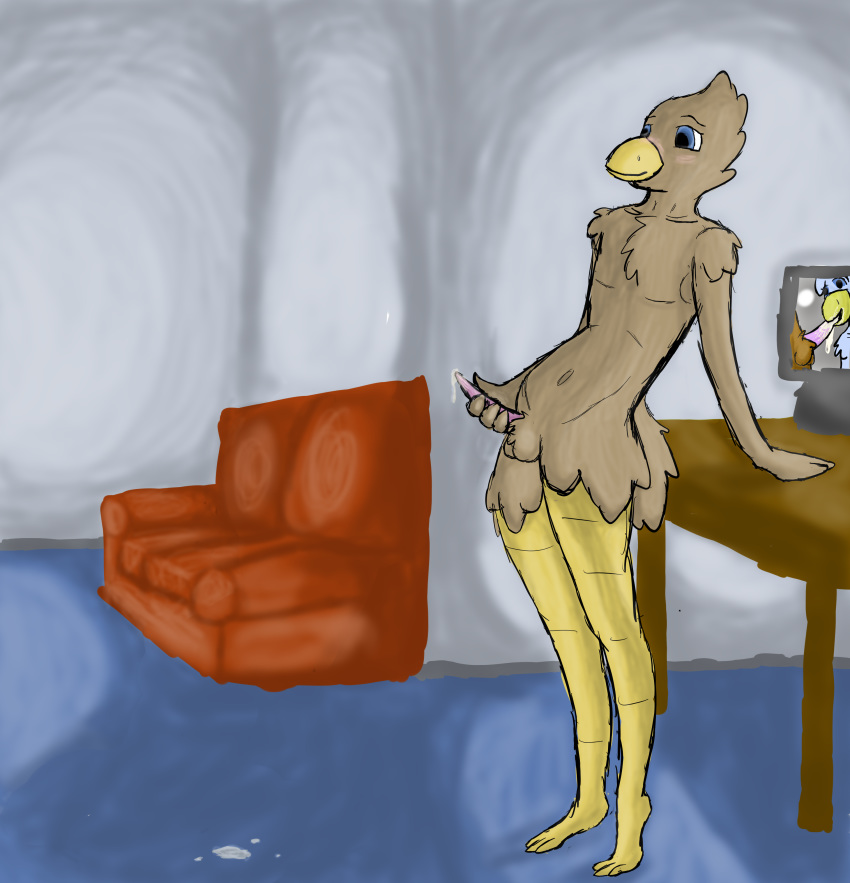 Avian Rule 34 Image