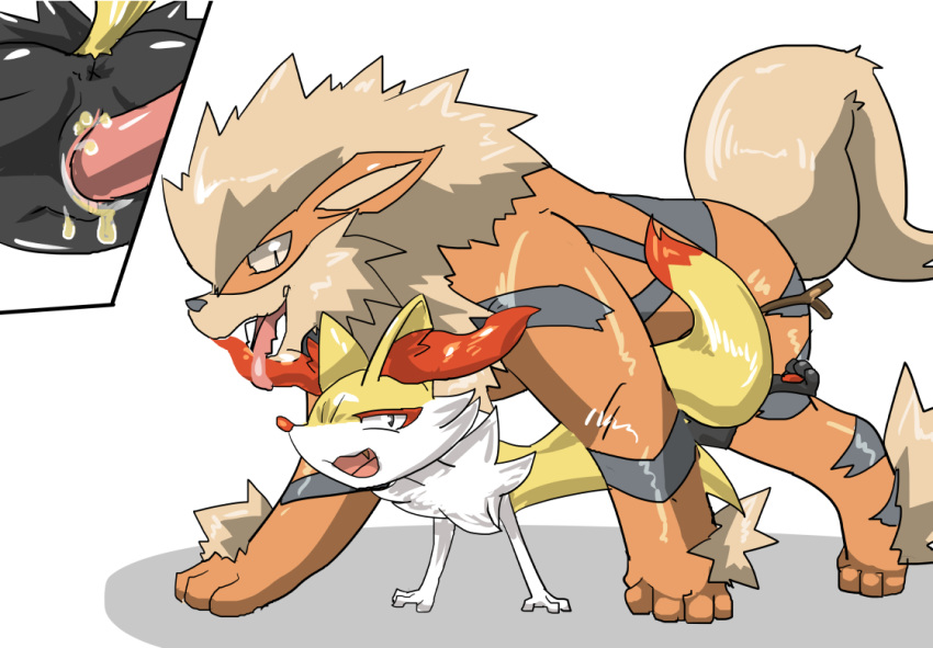 1boy 1girls all_fours anus arcanine braixen canine doggy_style duo female feral fox from_behind_position furry interspecies male mammal nintendo penis pokemon pokemon_(species) pokemon_xy sex size_difference straight sya tongue video_games