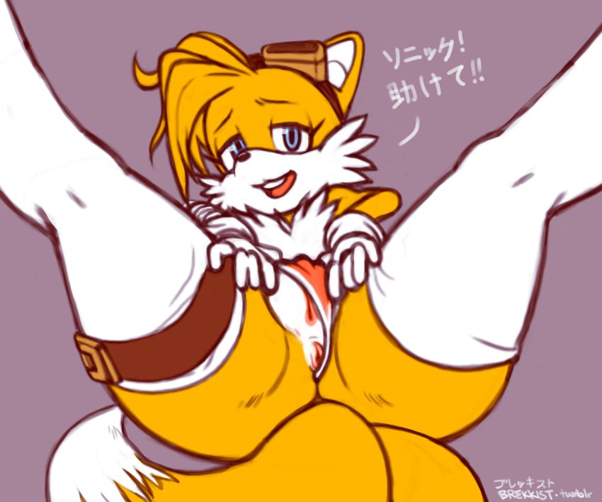 anthro anus brekkist canine ellie_prower female fox fur furry_tail japanese_text leg_garter multiple_tails pussy rule_63 sega solo sonic_(series) tail tails tailsko text thick_thighs thighhighs translation_request