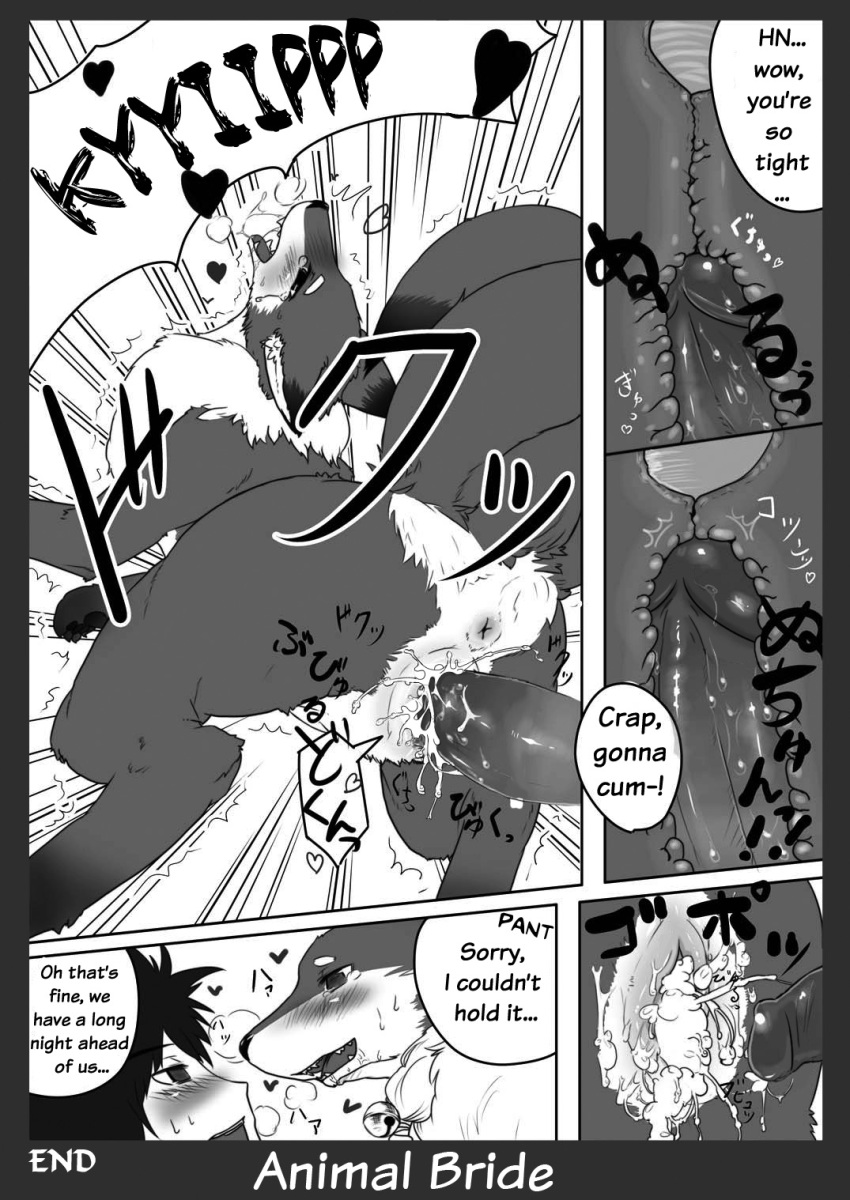 animal_bride anus canine comic female feral fox human pussy translated