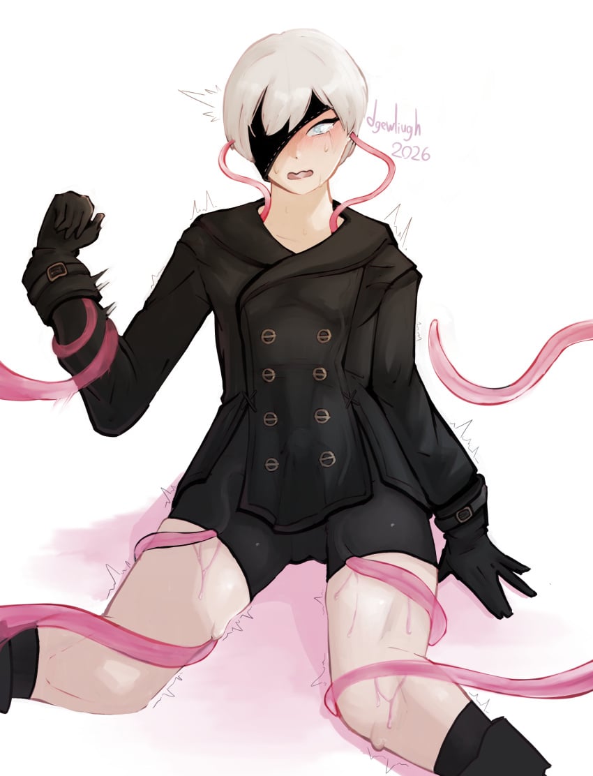 Nier (Series) Rule 34 Image
